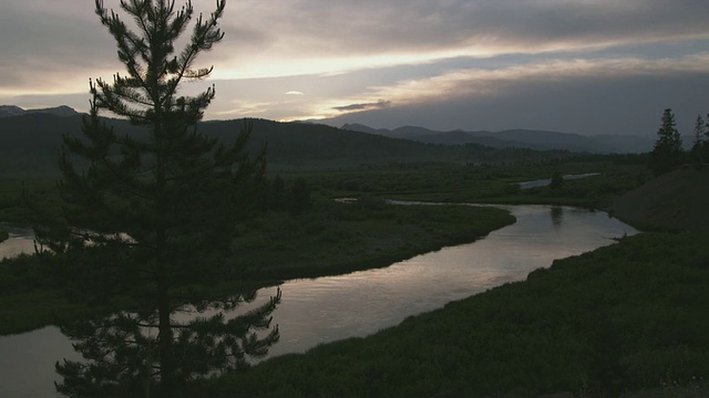 T/L WS HA溪流黄昏与松树在前景/黄石，怀俄明州，美国视频素材
