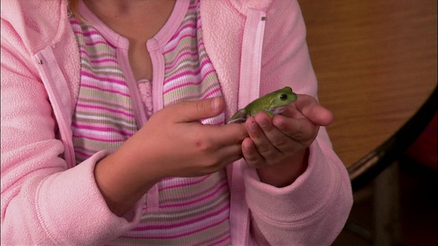 近距离放大小女孩展示青蛙在课堂上展示和告诉/听青蛙视频下载