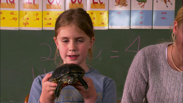 中等拍摄的年轻女孩介绍海龟到课堂上展示和告诉老师看着视频下载
