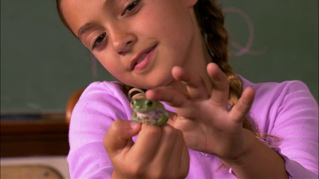 近距离放大小女孩抱着和爱抚小青蛙视频下载