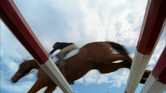 向上看的骑手和马跳过杆子视频下载