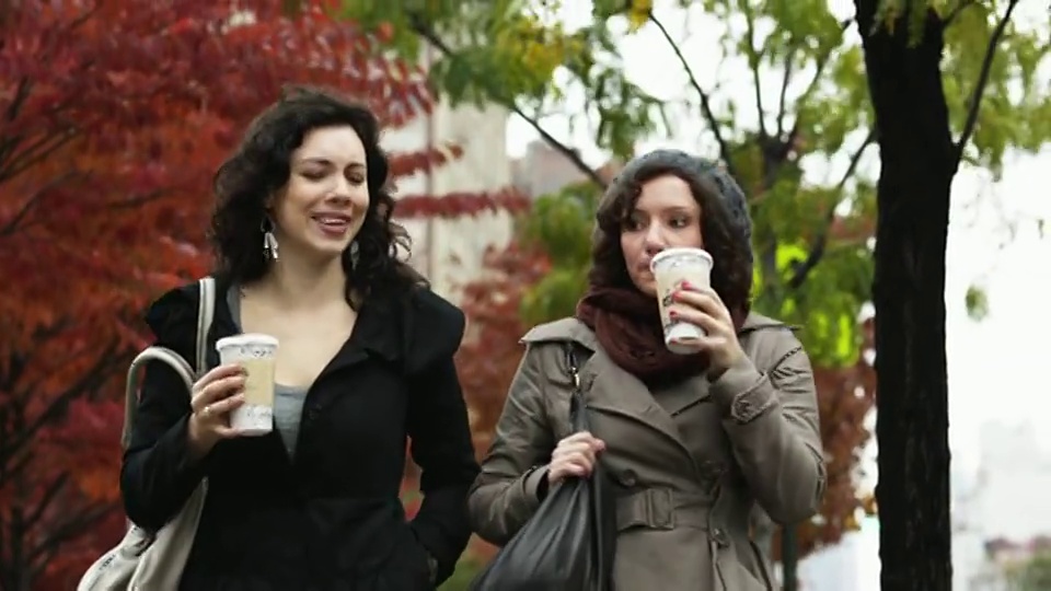 美国纽约，两个年轻的女人在公园里散步聊天视频素材