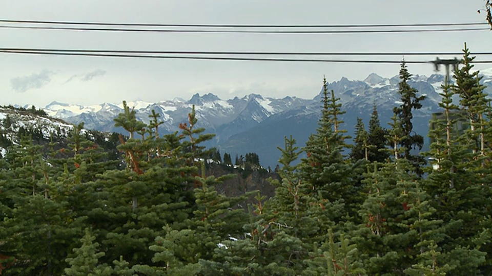加拿大不列颠哥伦比亚省惠斯勒山顶的WS缆车穿过树木视频素材
