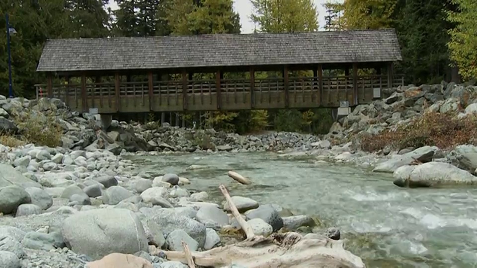 加拿大不列颠哥伦比亚省惠斯勒村的WS TU盖桥横跨菲茨西蒙斯溪/惠斯勒视频素材