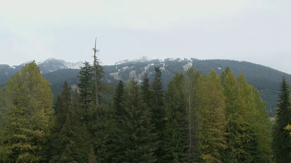 WS视图黑梳山与树在前景/惠斯勒，不列颠哥伦比亚省，加拿大视频下载
