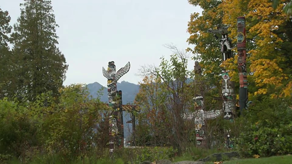加拿大不列颠哥伦比亚省温哥华斯坦利公园的图腾柱视频素材