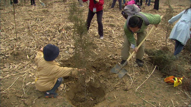 包括小男孩在内的人们在中国北京的泥土中种树视频下载