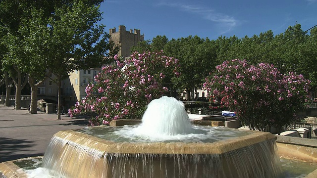 MS喷泉与盛开的木兰树背景/法国朗格多克鲁西永贝济耶视频下载