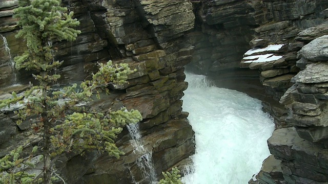 阿萨巴斯卡瀑布在贾斯珀国家公园/贾斯珀国家公园，阿尔伯塔，加拿大。视频素材
