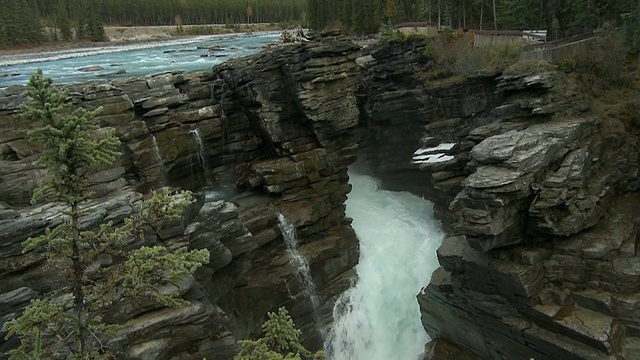 阿萨巴斯卡瀑布，河流和雪山在贾斯珀国家公园/阿尔伯塔，加拿大视频素材