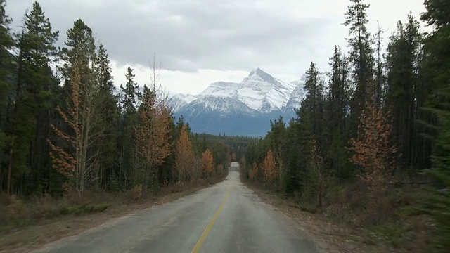 POV开车穿过贾斯珀国家公园，白雪覆盖的加拿大落基山脉背景/阿尔伯塔，加拿大视频素材