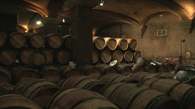 酒窖/波尔多酒桶，吉伦德，法国视频素材