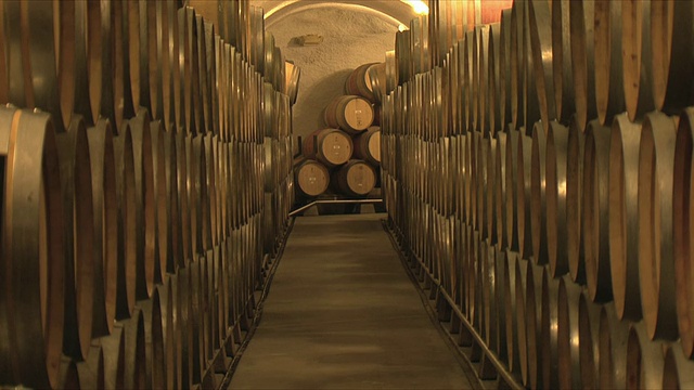 美国加州旧金山的酒窖中一排排的酒桶视频素材