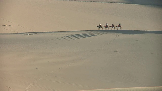 四个游客骑着骆驼沿着沙丘的山脊/敦煌，甘肃，中国视频下载