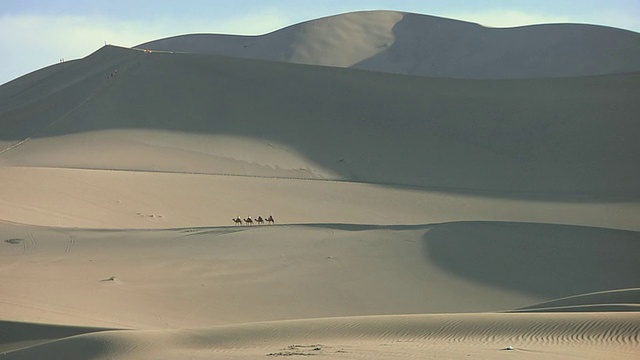 四个游客骑着骆驼沿着沙丘的山脊/敦煌，甘肃，中国视频下载