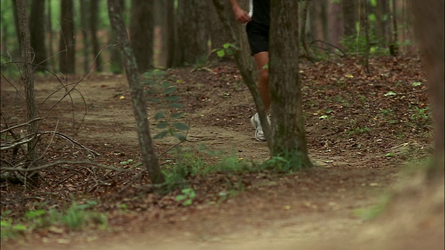 人的腿在森林小径上跑向照相机/红顶山州立公园，乔治亚州视频素材