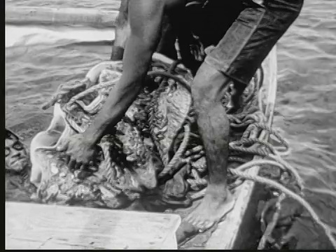 1949年，蒙太奇潜水员戴上护目镜，从独木舟潜入水中捕捉巨大的蛤蜊。水下拍摄，他用绳子缠绕住大蛤。人们把大蛤蜊拖到独木舟的甲板上。司机在水里等待。马绍尔群岛的利基普视频下载