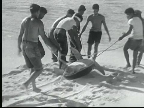 两名男子偷偷靠近沙滩上的一只大海龟，把它翻过来。另一些人过来，把绳子系在鱼鳍上，然后把它拖回水中视频下载