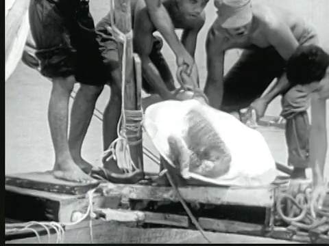 1949年的蒙太奇支腿帆船驶上海滩，船上有一只大海龟。我跑过去迎接它。男人把海龟翻到水里，然后把它拖到海滩上。马绍尔群岛的利基普视频下载