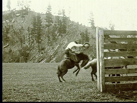 1924年美国南达科他，一名男子骑着野马，穿着牛仔裤，手里拿着牛仔帽视频素材