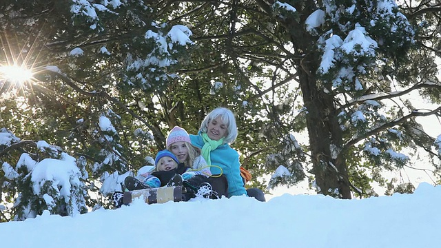 美国弗吉尼亚州里士满，祖母和两个孙女(4-11岁)，孙子(8-9岁)一起坐雪橇下山视频下载