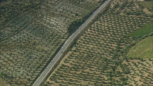 葡萄牙瓜尔达，一辆汽车行驶在乡间小路上穿过水果田视频下载