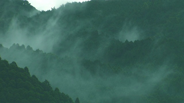 山在雾中视频素材