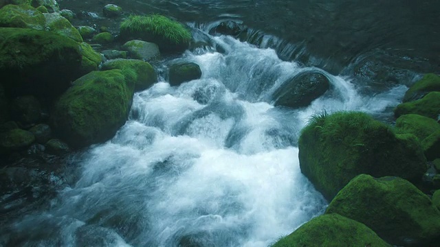 HA河流经长满苔藓的岩石视频素材
