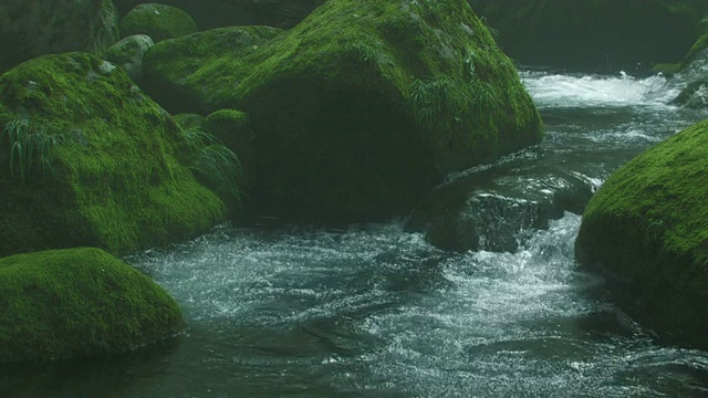 CU河流经长满苔藓的岩石视频素材
