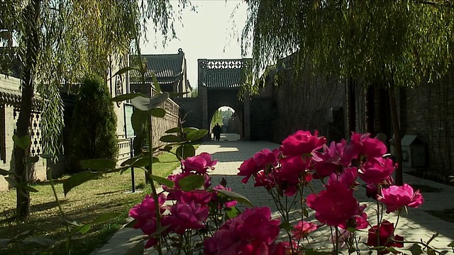 WS ZO Men走在带有粉红色花朵的拱门下前景/平遥，中国视频下载