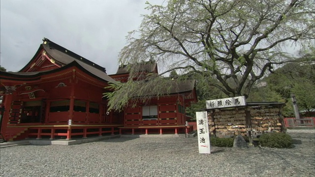 日本山梨县WS PAN佛教寺庙和樱花庭院视频素材