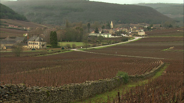 WS葡萄园与村庄在远处/勃艮第，法国视频素材