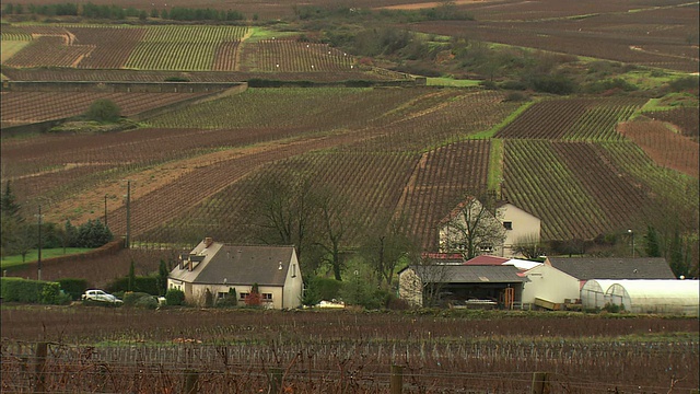 葡萄园中的WS农庄/勃艮第，法国视频素材