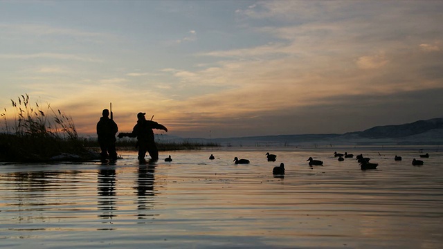 两个猎人把鸭子诱饵扔到池塘里视频素材