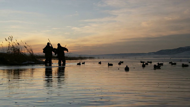 两个猎人把鸭子诱饵扔到池塘里视频素材