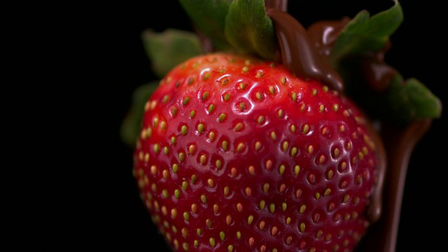 SLO MO CU Studio拍摄的将熔融巧克力倒在草莓上的照片视频下载