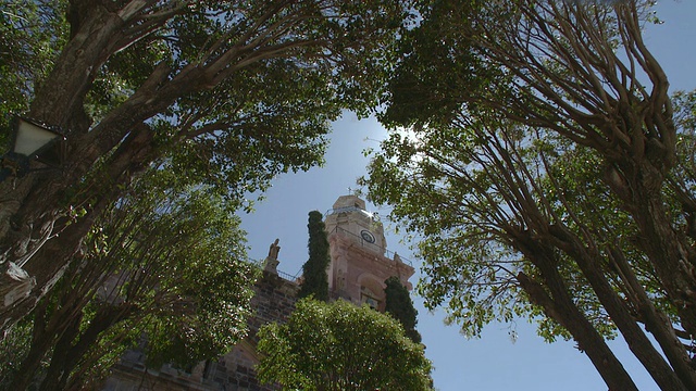 MS DS透过树木看到的教堂尖顶/ Real de Catorce，圣路易斯波托西，墨西哥视频素材