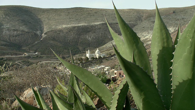 沙漠墓地教堂的景观，仙人掌在前景/ Real de Catorce，圣路易斯波托西，墨西哥视频素材