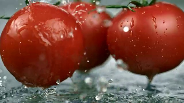清洗新鲜的红番茄视频素材