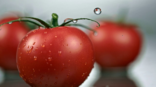 水滴落在番茄的茎上视频素材