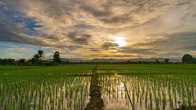 稻田和日落在泰国清迈4K时间流逝。视频素材