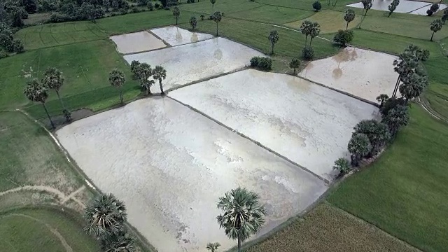 无人机头顶的阳光反射在淹水的稻田表面视频素材