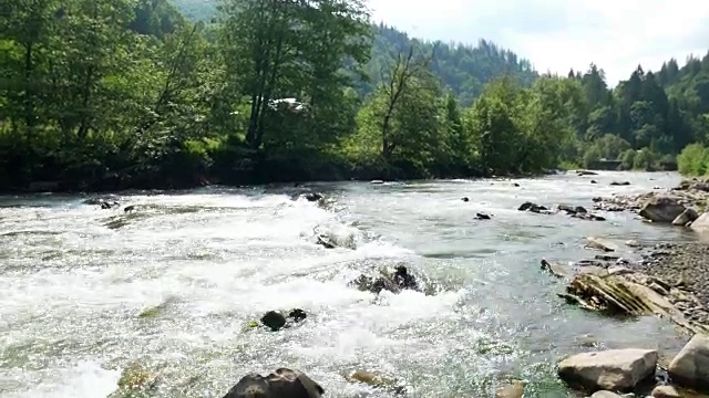多山的树木河视频素材