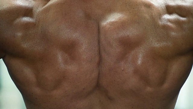 肌肉男健美运动员摆姿势用他的背部。视频下载
