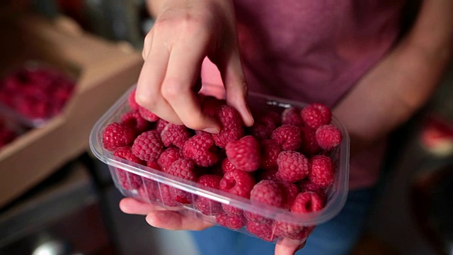 女人采摘和手持新鲜的树莓特写视频素材