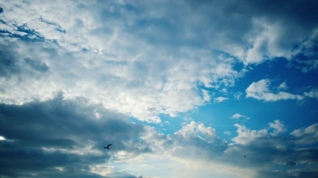 蓝天白云，鸟飞视频素材