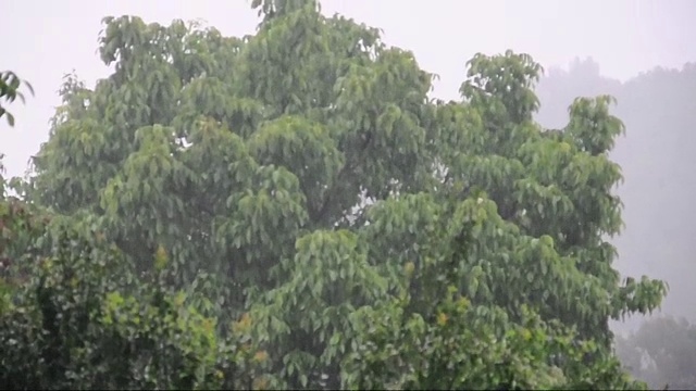 雨-自然村-村里的雨正在下视频素材
