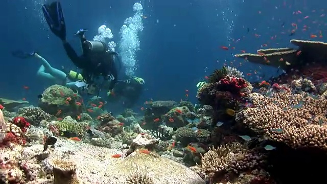潜水者在珊瑚礁深处游泳。视频素材