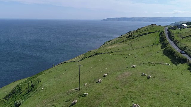 鸟瞰图绿色安特里姆海岸线，爱尔兰视频素材
