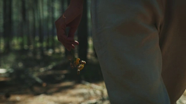穿过森林的女人视频素材